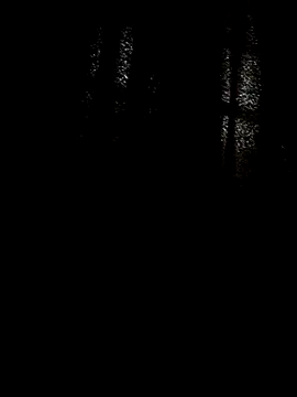 Snapshot of PIROCAGG21 chatting on October 11, 4:00 pm PIROCAGG21 online show from October 11, 4:00 pm