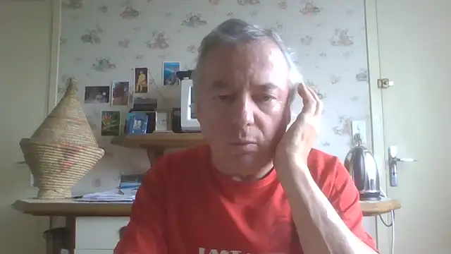 gegevincent online show from April 19, 11:31 am