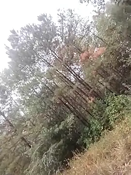 helldonk online show from October 25, 3:36 pm