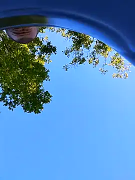 helldonk online show from September 21, 2:06 pm