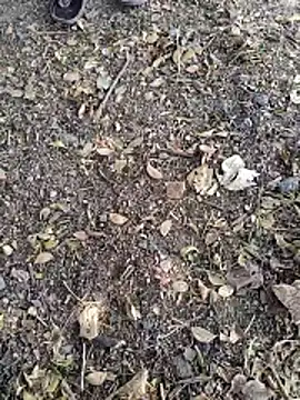 Telugu person12 online show from January 14, 7:57 am