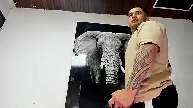 king falconer online show from October 25, 3:52 am