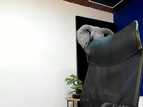 king falconer online show from November 5, 6:04 am