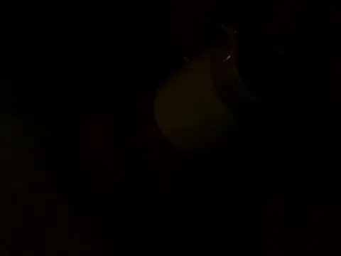 PointXXL online show from December 16, 2:35 pm