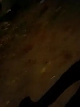 Snapshot of jvdzj-0_ chatting on October 28, 9:50 pm jvdzj-0 online show from October 28, 9:50 pm