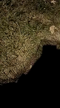 Snapshot of jvdzj-0_ chatting on October 18, 10:26 pm jvdzj-0 online show from October 18, 10:26 pm