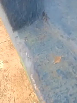 KingBonga online show from October 28, 5:21 am