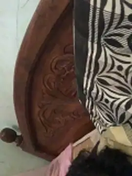 Bullboy8in online show from November 9, 5:33 am