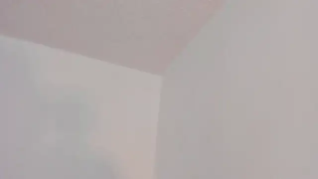 axel davis  online show from February 8, 7:18 pm