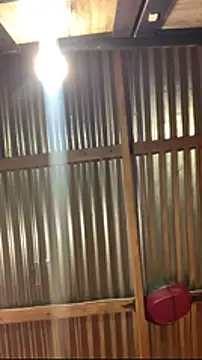 jabulani2600 online show from January 6, 9:08 pm