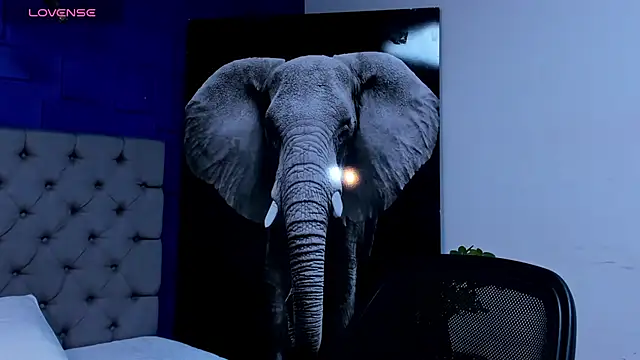 rocoo santos online show from September 26, 7:06 am