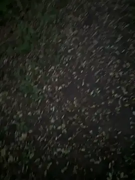 Snapshot of Sosisonchik chatting on October 6, 4:11 pm Sosisonchik online show from October 6, 4:11 pm