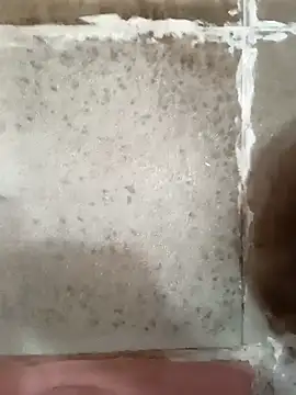 twpatil online show from October 20, 4:27 am