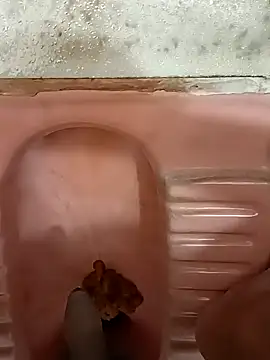 twpatil online show from October 17, 7:34 am