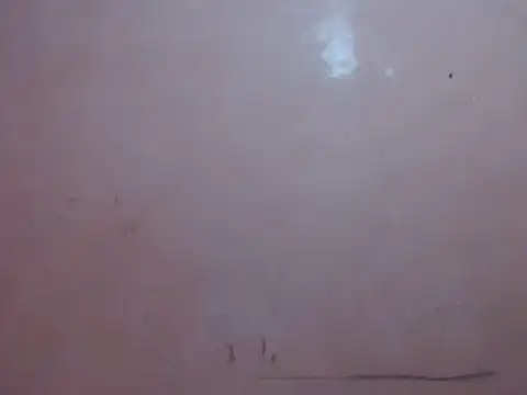 Kyoshi 19 online show from January 17, 7:33 am