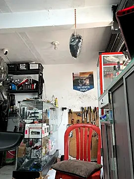Snapshot of Terra-22cm chatting on October 22, 6:32 pm Terra-22cm online show from October 22, 6:32 pm