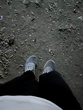 indian pavi online show from February 8, 4:22 pm