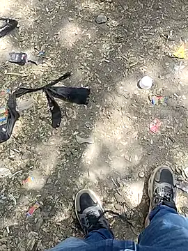 indian pavi online show from February 3, 7:24 am