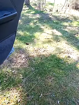 bullut06 online show from March 17, 12:40 pm