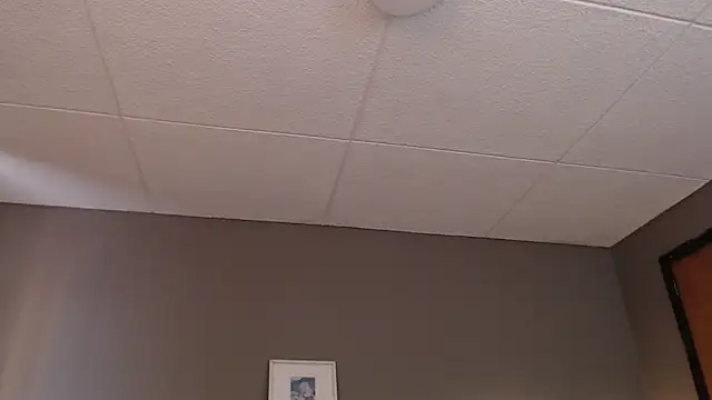 PaulEvens online show from February 8, 2:21 pm