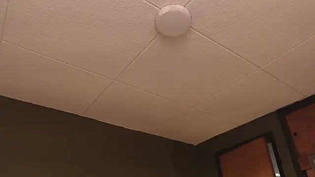 PaulEvens online show from October 17, 1:26 pm