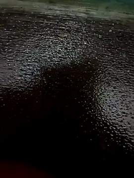 teddydddd online show from November 1, 3:38 pm