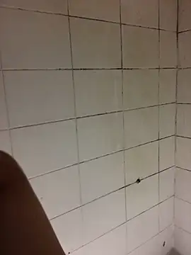 Novinhodotadomg online show from November 9, 10:25 pm