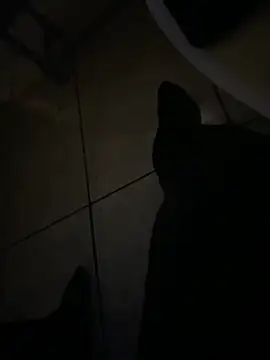 geilheit12 online show from September 14, 8:00 pm