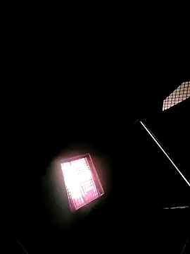 princexdcs online show from February 7, 10:55 am