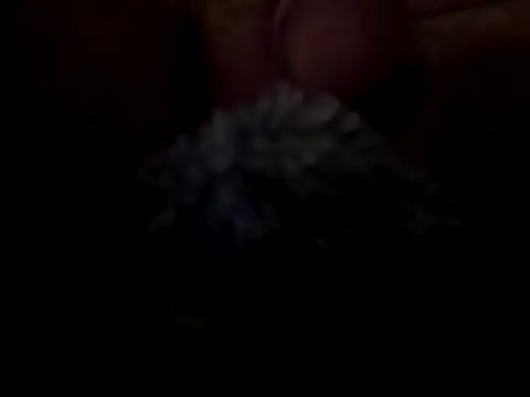 SmokeyKnight online show from November 26, 11:13 am