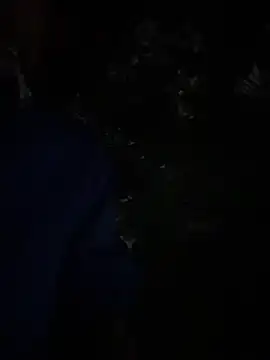 AlphaMasterXxx online show from December 3, 4:51 am