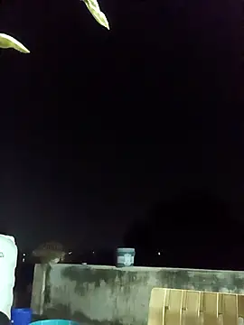 96rose online show from October 16, 2:14 pm