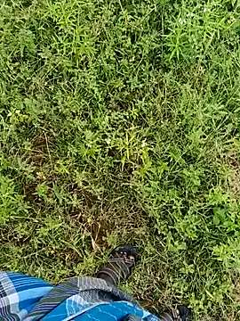 dolphiinn online show from January 12, 3:10 am