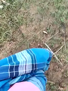 dolphiinn online show from March 20, 2:04 am