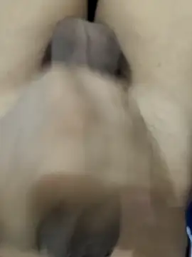 official plsr5 online show from September 15, 6:59 am