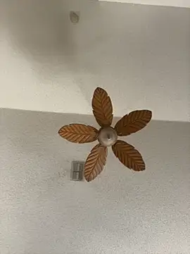 xxxshowxxx online show from October 15, 4:58 pm