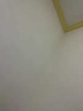 igsva online show from October 20, 3:16 pm