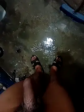 Bebicho14 online show from September 14, 7:54 am