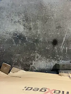 bmwe71 online show from November 18, 3:16 pm