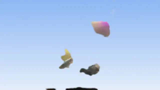 kingtaydo online show from January 9, 2:55 pm