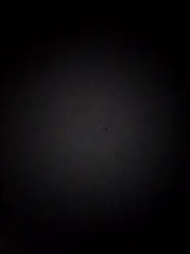 Ferxxxo1503 online show from November 9, 7:56 am