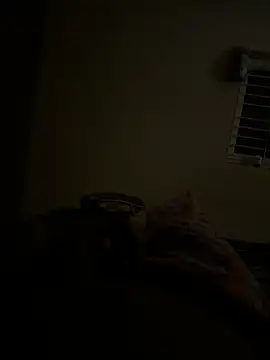 Chaitu-teluguhot online show from December 16, 10:06 pm