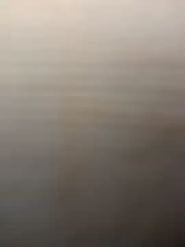 ipvk online show from March 23, 12:33 pm