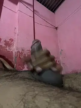 bigdick882488 online show from October 5, 8:24 pm