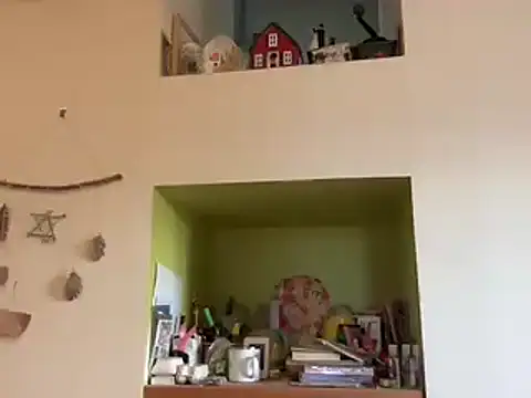 chtentation online show from December 19, 10:01 am