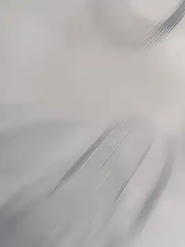 gaiteirosedutor03 online show from October 12, 6:57 pm