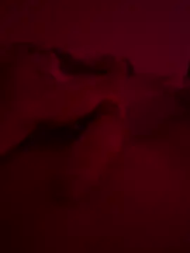 nieonixpeek19 online show from February 2, 9:12 pm