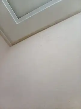 latarak321 online show from November 4, 9:16 pm