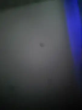 Sa75myxh online show from January 19, 1:35 pm