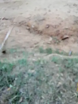 Suga98 online show from October 18, 12:10 pm